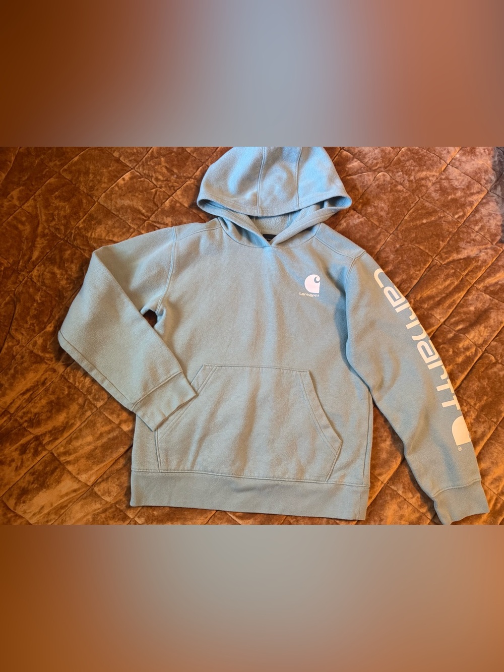 Kids Carhartt Crewneck Hoodie in Light Green with Cream Logo